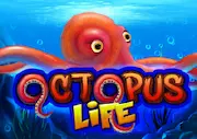 Octopus Life