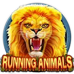 Running Animals