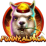 Funny Alpaca