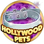 Hollywood Pets