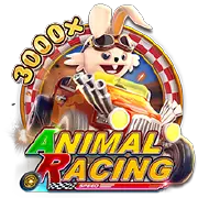 ANIMAL RACING