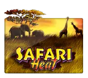 Safari Heat