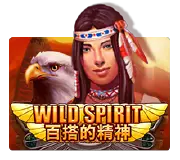 Wild Spirit