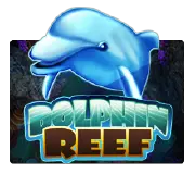 Dolphin Reef