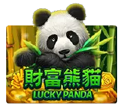 Lucky Panda