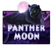 Panther Moon