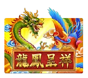 Dragon Phoenix