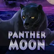 PANTHER MOON