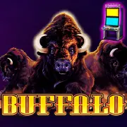 BUFFALO