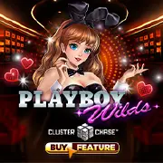 Playboy Wilds