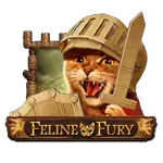 Feline Fury