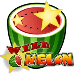 Wild Melon