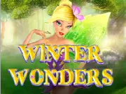 Winter Wonders