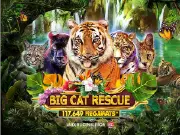 Big Cat Rescue Megaways