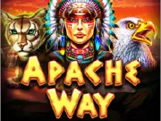 Apache Way