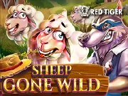 Sheep Gone Wild