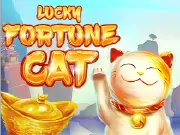 Lucky Fortune Cat