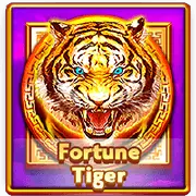 Fortune Tiger