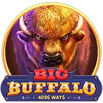 Big Buffalo