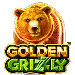 Golden Grizzly