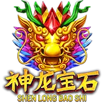 Shen Long Bao Shi